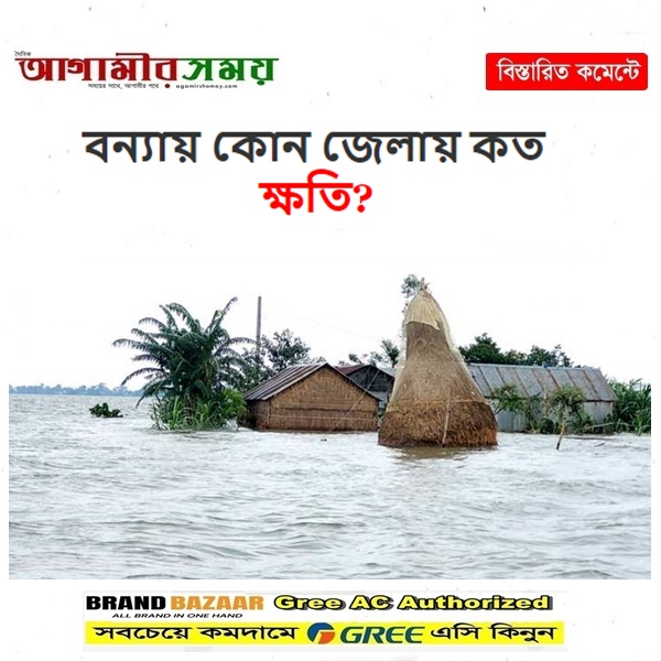 বন্যায় কোন জেলায় কত ক্ষতি?